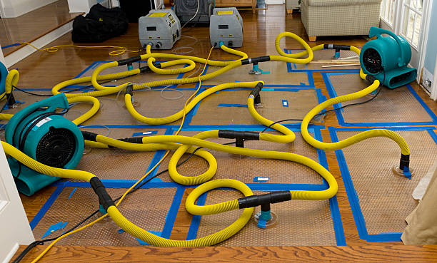 Professional Basement Flood Cleanup technician working in Whitewater, WI